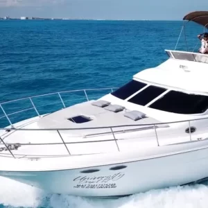 7. Sea Ray 46 " - Image 6