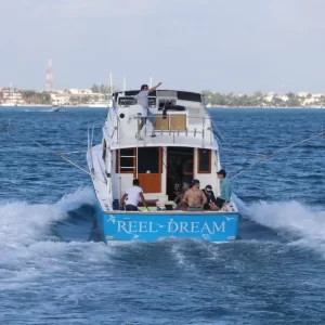 29.-Bertram 40 Ft Up to 12 people - Image 9