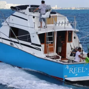 29.-Bertram 40 Ft Up to 12 people - Image 6