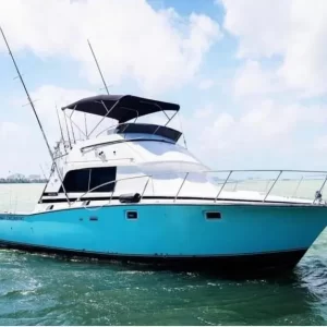 29.-Bertram 40 Ft Up to 12 people - Image 8